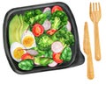 Salad broccoli, tomatoes, radish, avocado and eggs. Food delivery Royalty Free Stock Photo