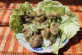 Salad from champignon Royalty Free Stock Photo