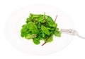Salad of chard and ruccola on plate Royalty Free Stock Photo