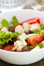 Salad cheese with vegetables in white bowl Royalty Free Stock Photo
