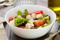 Salad cheese with vegetables in white bowl Royalty Free Stock Photo