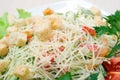 Salad with cheese and zwieback Royalty Free Stock Photo