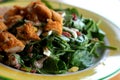 Salad with Chicken Royalty Free Stock Photo