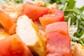 Salad with chicken meat - Close up Royalty Free Stock Photo