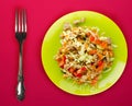 Salad with chicken stomachs with vegetables salad with chicken on a green plate on a red background Royalty Free Stock Photo