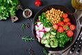 Salad of chickpeas, tomatoes, cucumbers, radish and greens Royalty Free Stock Photo