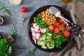 Salad of chickpeas, tomatoes, cucumbers, radish and greens. Royalty Free Stock Photo