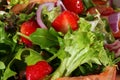 Salad close-up Royalty Free Stock Photo