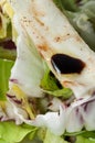 Salad close-up Royalty Free Stock Photo