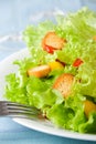 Salad closeup Royalty Free Stock Photo