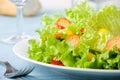 Salad closeup Royalty Free Stock Photo