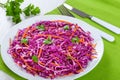 Salad coleslaw - red cabbage with carrots on white dish Royalty Free Stock Photo