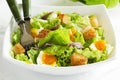 Salad with croutons,