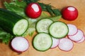 Salad, cucumber, dill and sliced radish