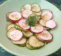 Salad of cucumbers and radish