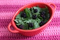 Salad of dandelion Royalty Free Stock Photo