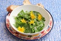 Salad of dandelion Royalty Free Stock Photo