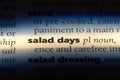 salad days Royalty Free Stock Photo