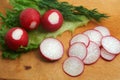 Salad, dill and whole and sliced radish