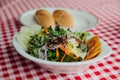 Salad dish including cucumber, tomato, lettuce, cabbage, carrot, red oak, shallot, wild rocket. Royalty Free Stock Photo