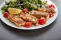 salad dish with slices of baked fried salmon with vegetables Royalty Free Stock Photo