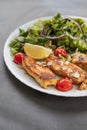 Salad dish with slices of baked fried salmon with vegetables Royalty Free Stock Photo