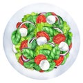 Salad with dried tomatoes and mozzarella cheese