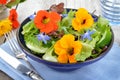 Salad with edible flowers nasturtium, borage. Royalty Free Stock Photo