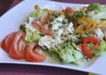 salad with fish green salad rice and tomatos