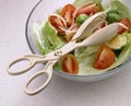 Salad fork and salad Royalty Free Stock Photo