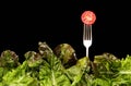 Salad Forks & Tomato Royalty Free Stock Photo