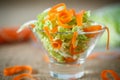 Salad of fresh chopped cabbage and carrots