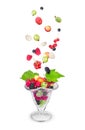 Salad with fresh falling fruits and berries in glass Royalty Free Stock Photo