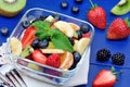 Salad with fresh fruits and berries Royalty Free Stock Photo