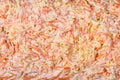 Salad of fresh grated carrots, cheese, garlic and mayonnaise. Royalty Free Stock Photo