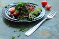 Salad with fresh lettuce and tomatoes Royalty Free Stock Photo