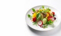 Salad of fresh natural summer vegetables, tomatoes, cucumbers, peppers and lettuce leaves on a white plate on a white background Royalty Free Stock Photo