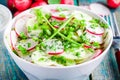 Salad of fresh organic radish and cucumber in white bowl closeup Royalty Free Stock Photo