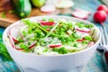 Salad of fresh organic radish and cucumber in white bowl closeup Royalty Free Stock Photo