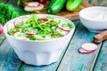 Salad of fresh organic radish and cucumber in white bowl Royalty Free Stock Photo