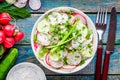 Salad of fresh organic radish and cucumber in white bowl for lunch top view Royalty Free Stock Photo