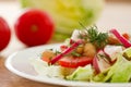 Fresh salad with beans Royalty Free Stock Photo