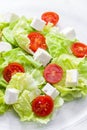 Salát čerstvý zelenina sýr a rajčata 