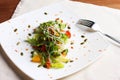 Salad with fresh vegetables, pumpkin seeds, oranges on white plate Royalty Free Stock Photo