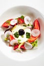 Salad of Fresh Vegetables and Ricotta Cheese with Herbs Royalty Free Stock Photo