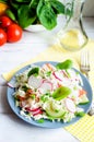 Salad Fresh Vegetables Tomatoes Cucumbers Radishes Onions Herbs Royalty Free Stock Photo