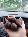 Salak fruit, the most delicious fruit from indonesia