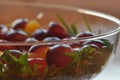 Salad in a glass dish. Rocket salad with grapes