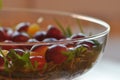 Salad in a glass dish. Rocket salad