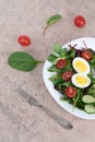 Salad of green vegetables, tomato and rice in a white plate. Rice with vegetables and eggs on a white plate Royalty Free Stock Photo